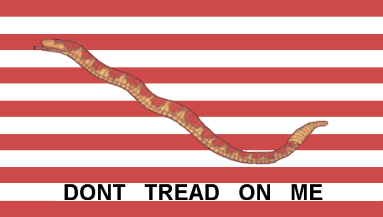 First Navy Jack/Don't Tread on Me flag